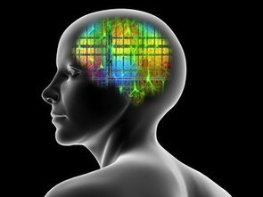 网络科技类企业计算机及辅助设备税收筹划方案